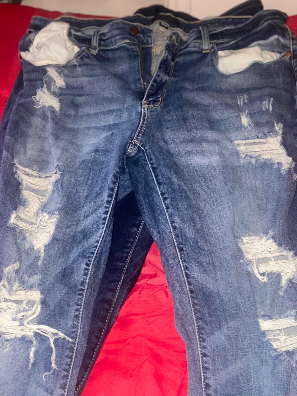 Torrid - Picture 1 of 1